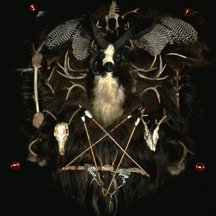 Navajo Witch : Skinwalker